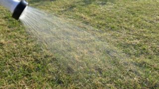 芝生のエアレーションをする必要性 時期や頻度と間隔 便利な道具も ブログタウン