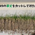 TM9(芝生)草丈