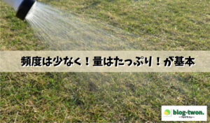 TM9(芝生)の水やりの頻度と量