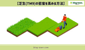 芝生 密度を上げる