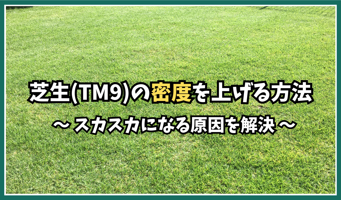 芝生(TM9)の密度を上げる方法